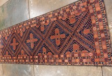 afghan Runner - # 127725