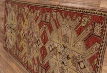 trans caucasian Runner - # 128042