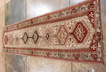 shiraz Runner - # 128588