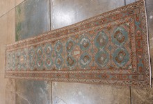 shirvan Runner - # 128997