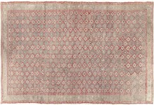 anatolian Runner - # 102102