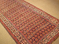 Antique shirvan - # 2750