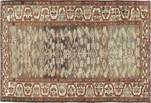 baktiari Runner - # 103622